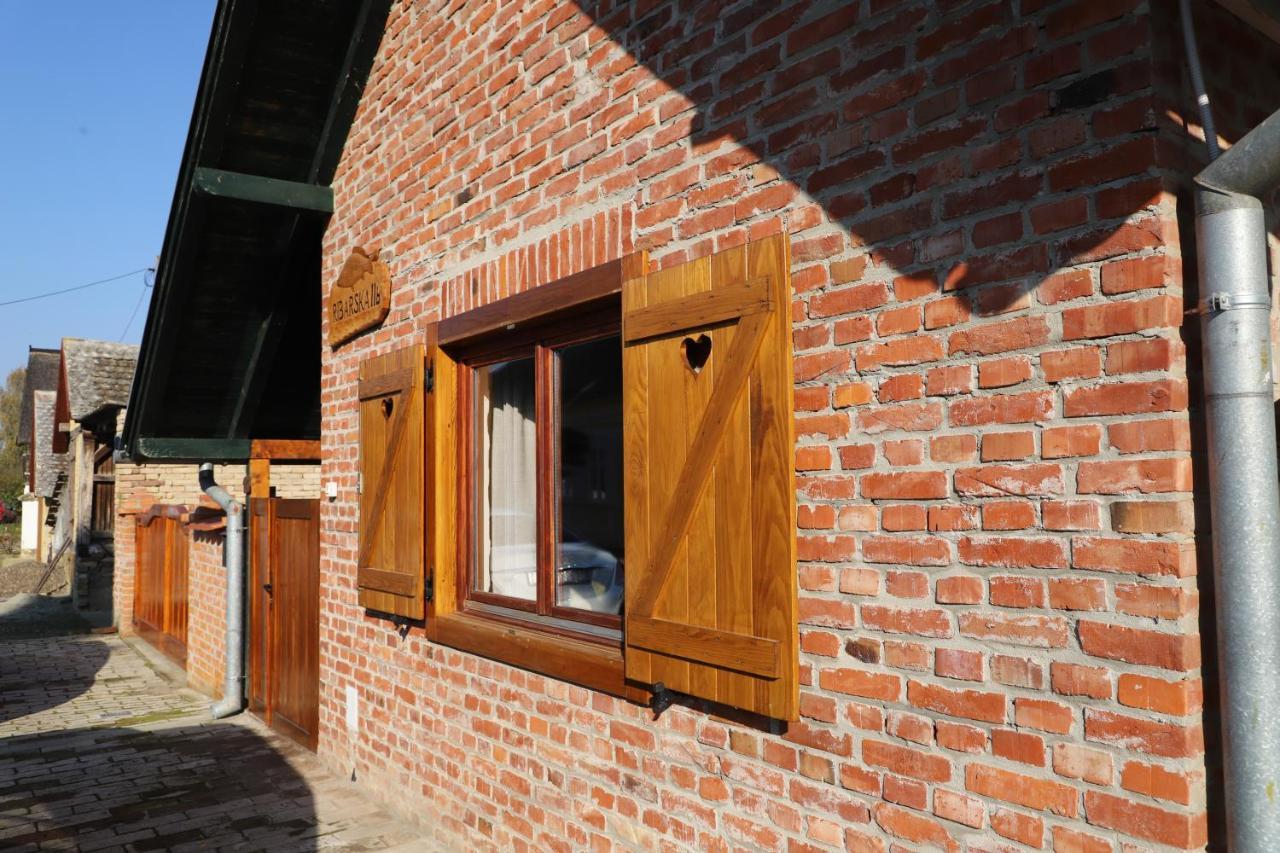 Kuca Za Odmor Guska Villa Kopacevo Exterior photo